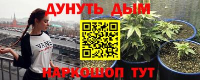 СК Севастополь