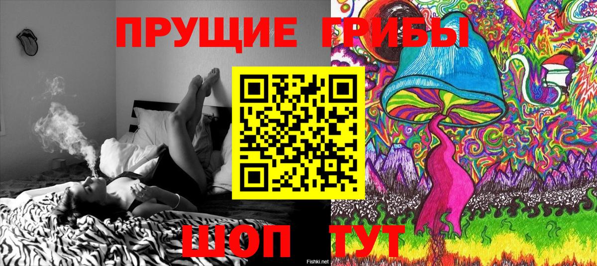 Галлюциногенные грибы GOLDEN TEACHER  Вход с VPN  Псилоцибиновые грибы Psilocybine cubensis  Новотроицк 
